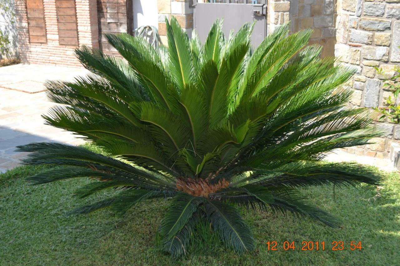 Oasi Peppa Ascea Exterior foto