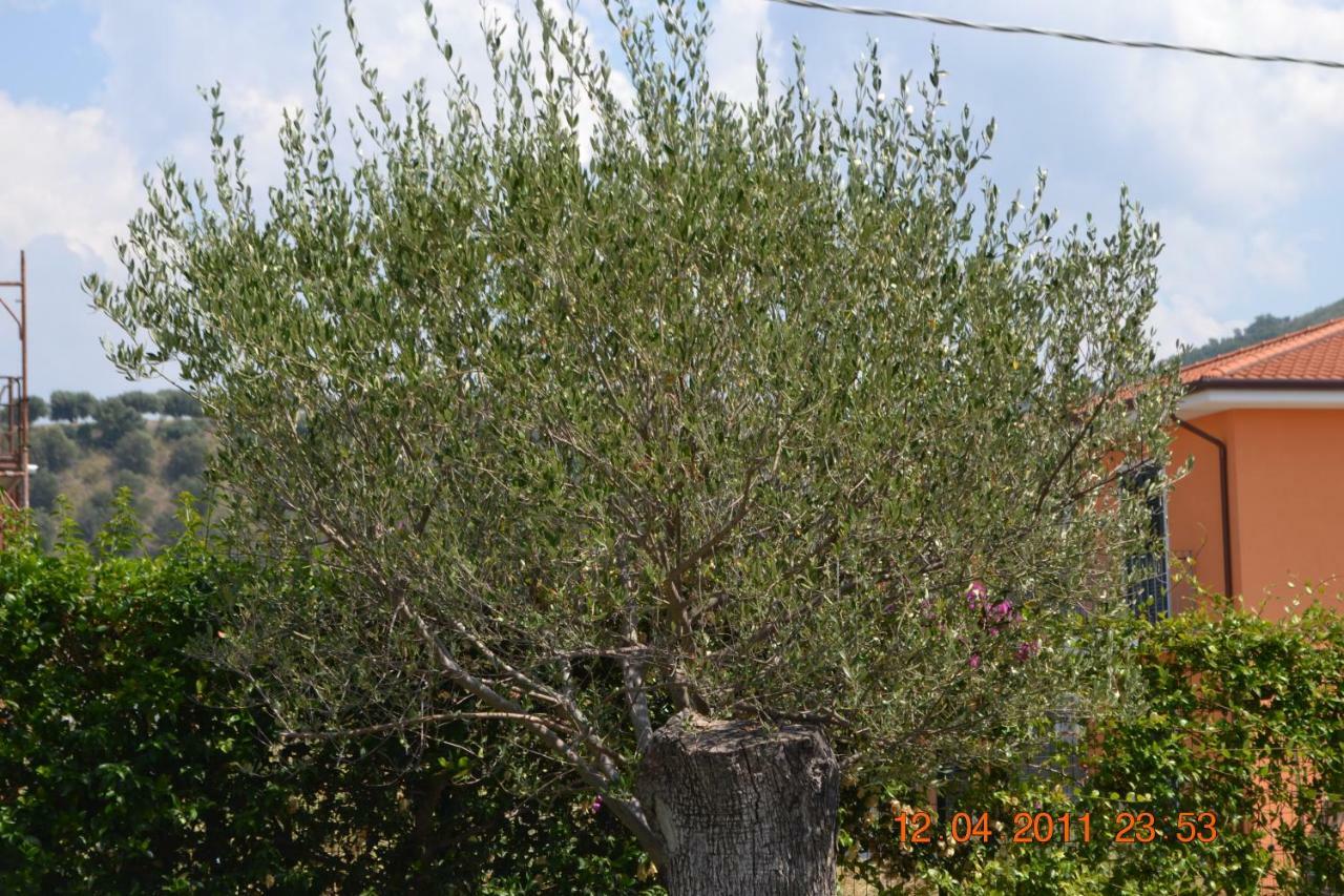 Oasi Peppa Ascea Exterior foto