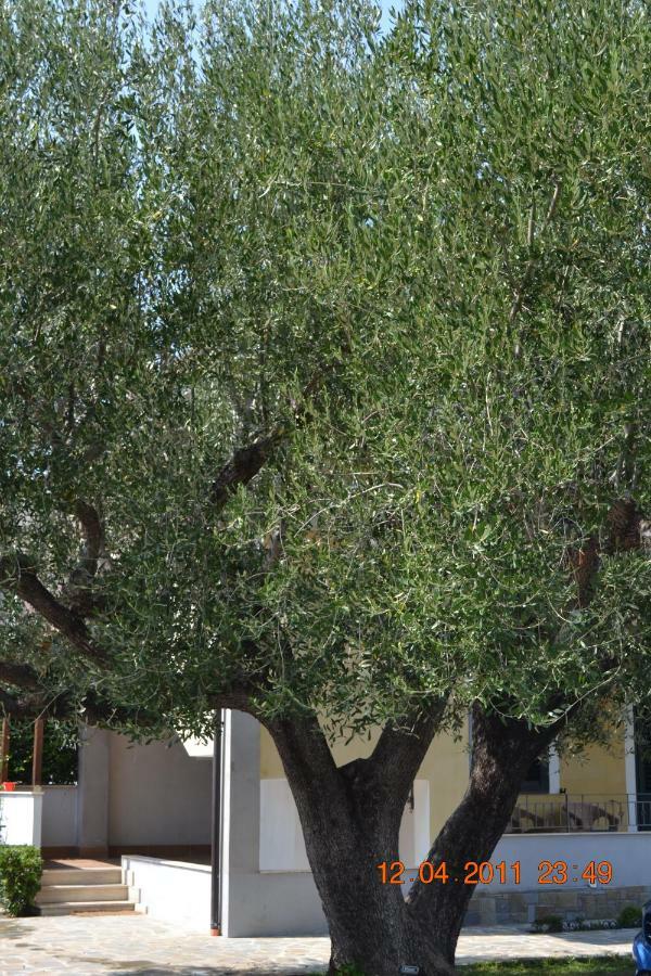 Oasi Peppa Ascea Exterior foto